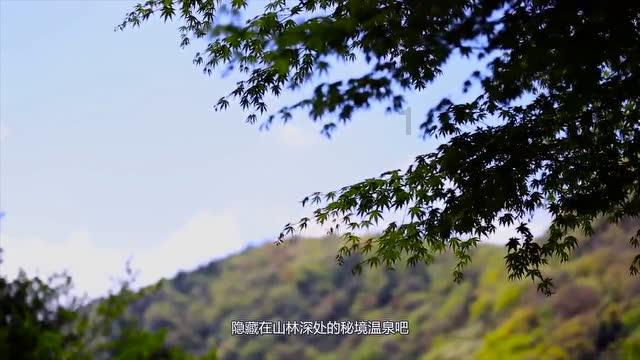媒体人:乔帅大概一周前回到国内,接下来将观战辽宁和青岛