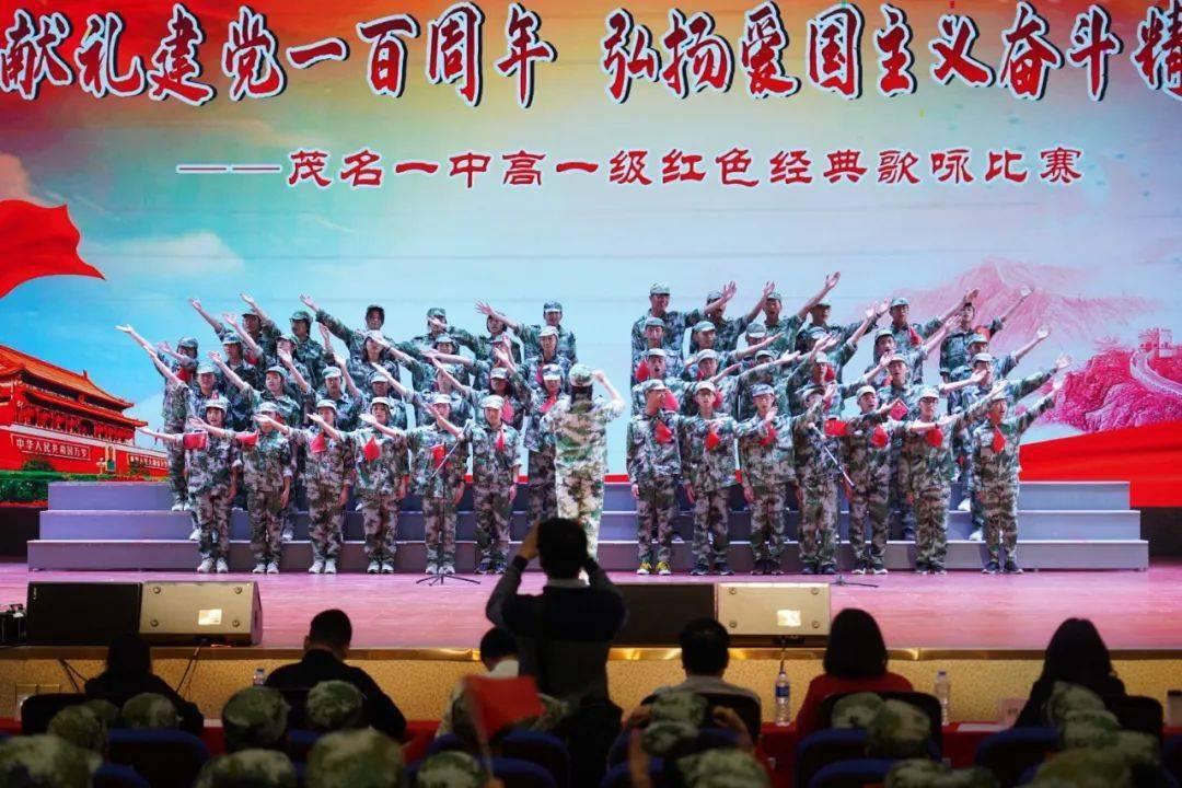 五彩鹦鹉救援