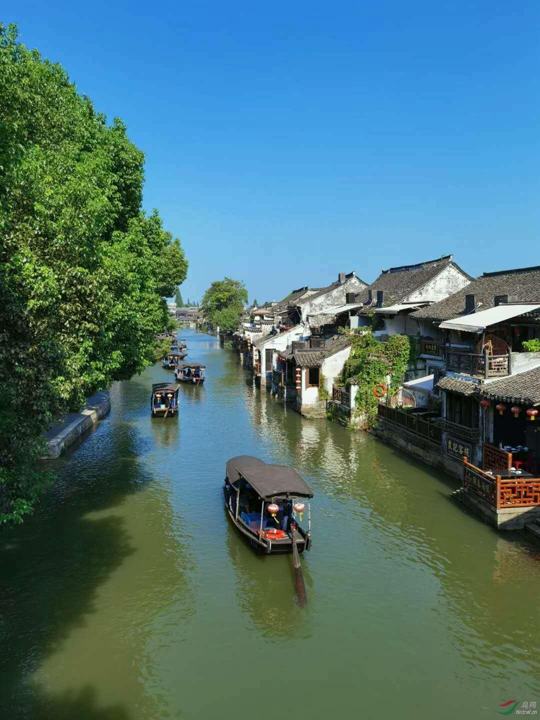 逃离啦啦队员的家